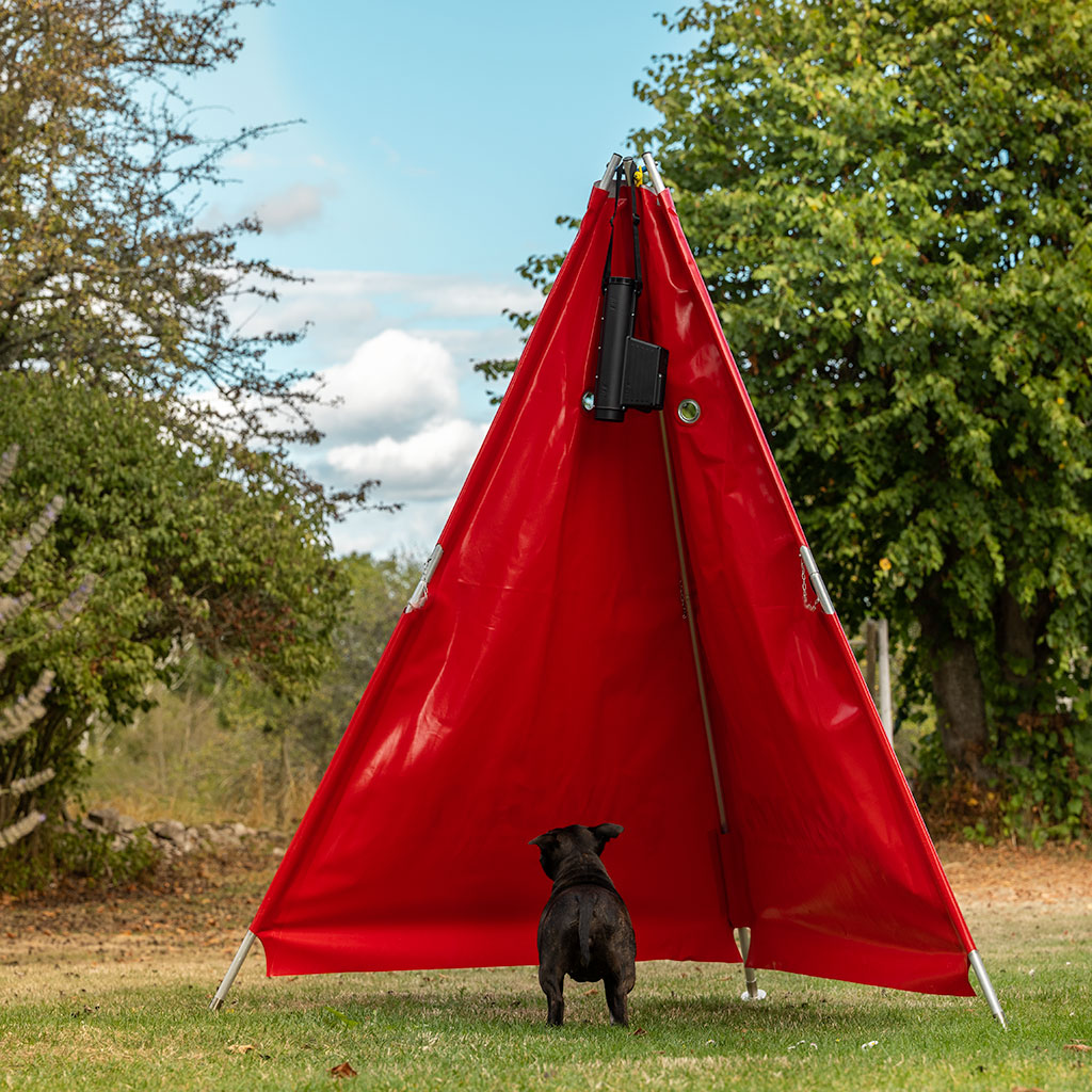 D-Balls automaatne pallipillaja koertele - Image 4