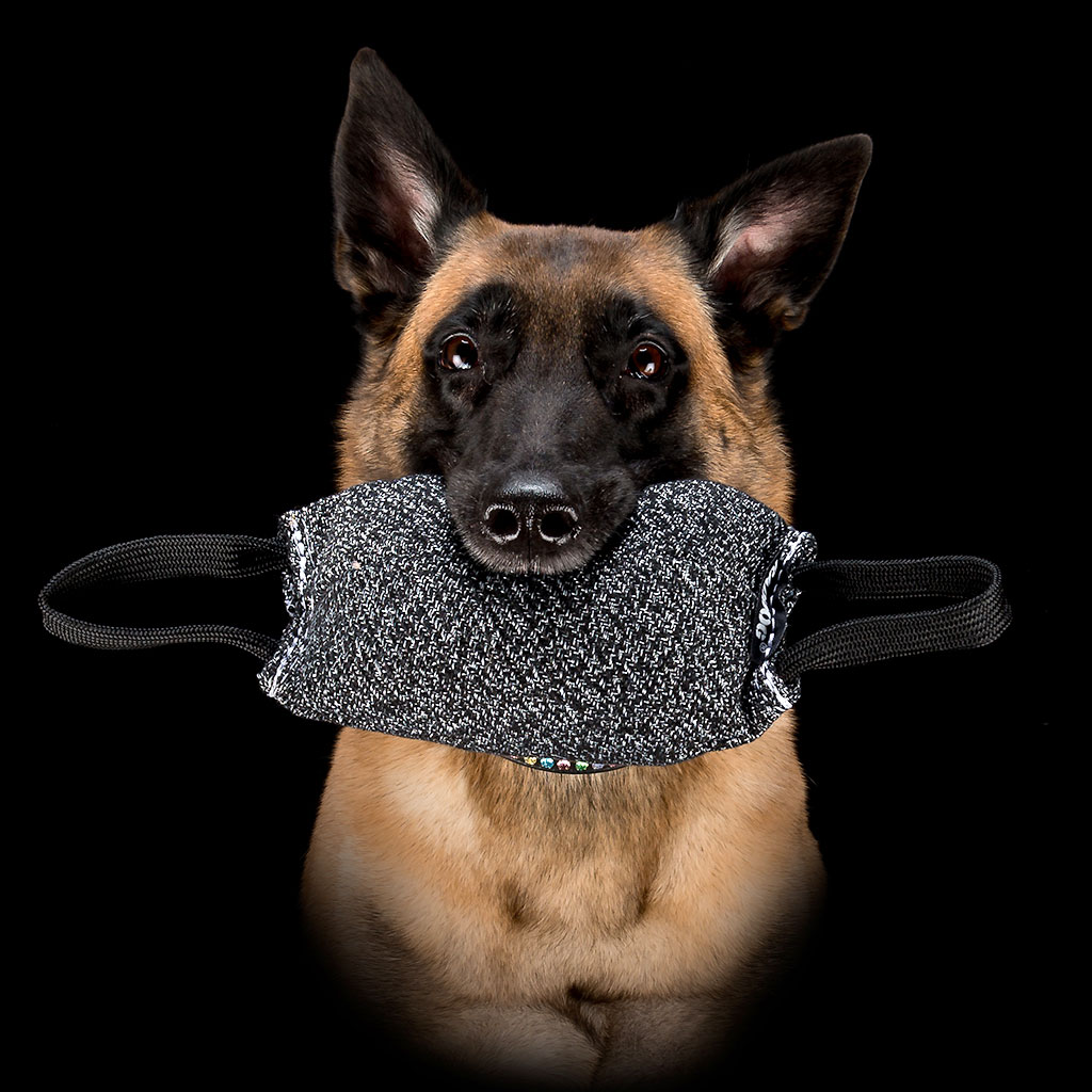 Raddog lai patukas Baca - Image 5