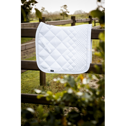 Catago Diamond valtrap/erinevad värvid