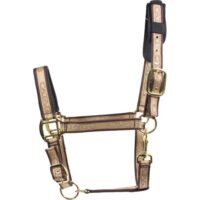 Catago päitsed, erinevad värvid