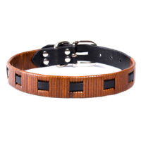 Backbone-1 nahast kaelarihm koertele Backbone-1 nahast kaelarihm koertele