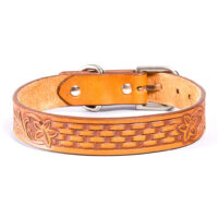 Backbone-9 nahast koerte kaelarihm