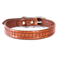 Backbone-10 nahast koerte kaelarihm