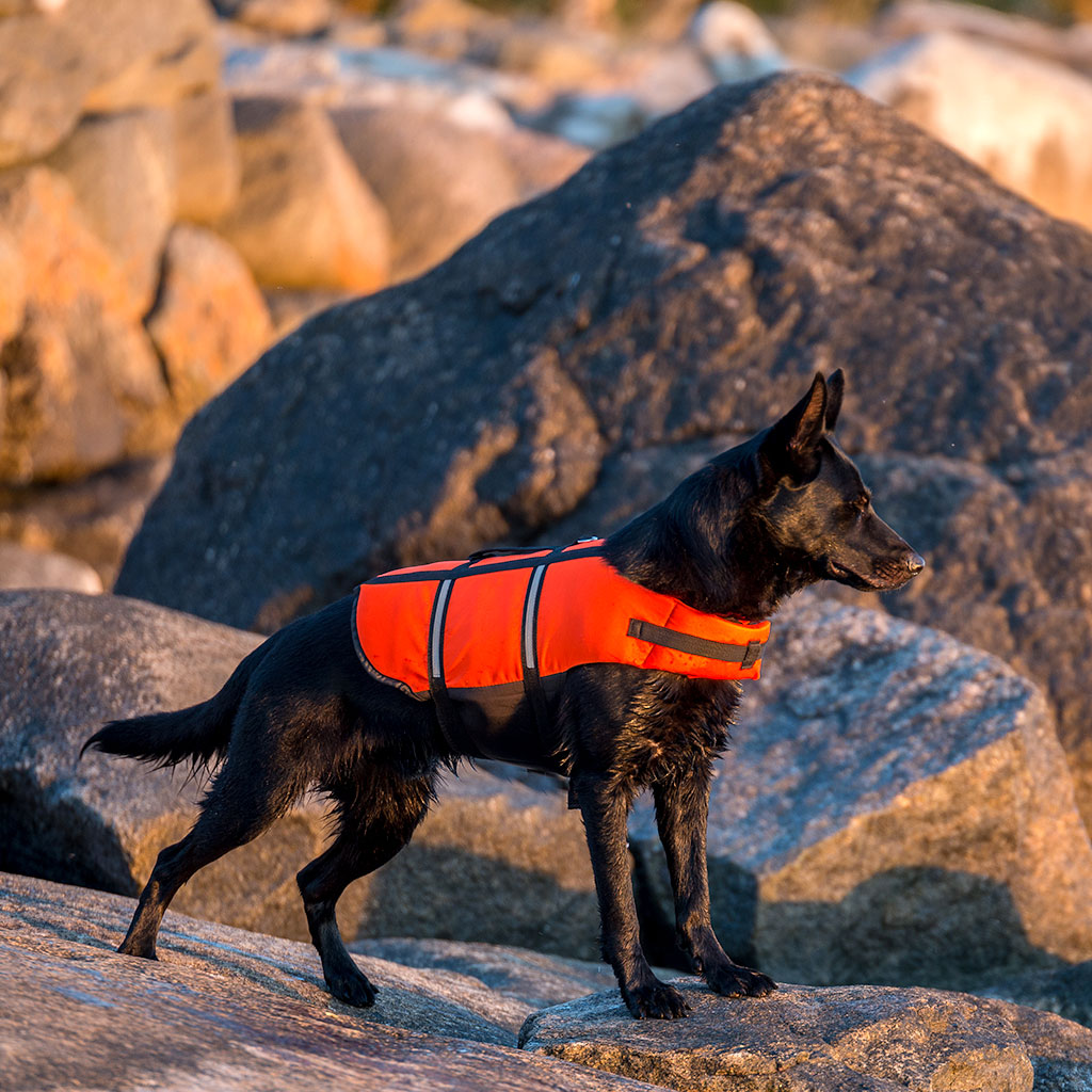 Globus Sport päästevest koertele - Image 5