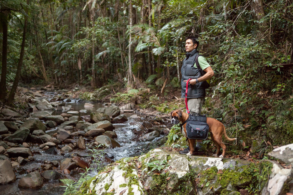 Ezydog Summit seljakott