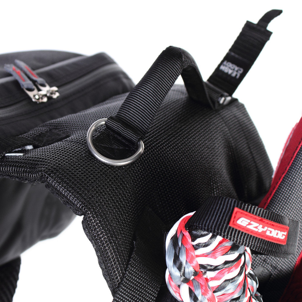 Ezydog Summit seljakott