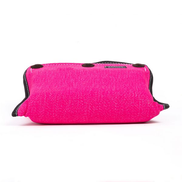 Raddog haardepadi Trojan - Image 2