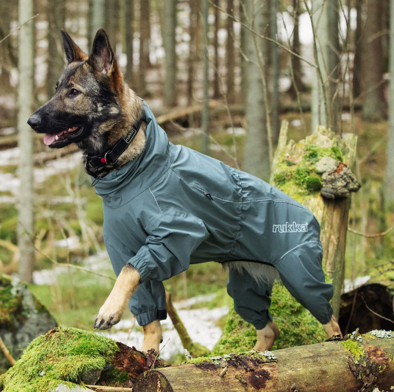 Rukka Protect Overall kombinesoon koertele - Image 2