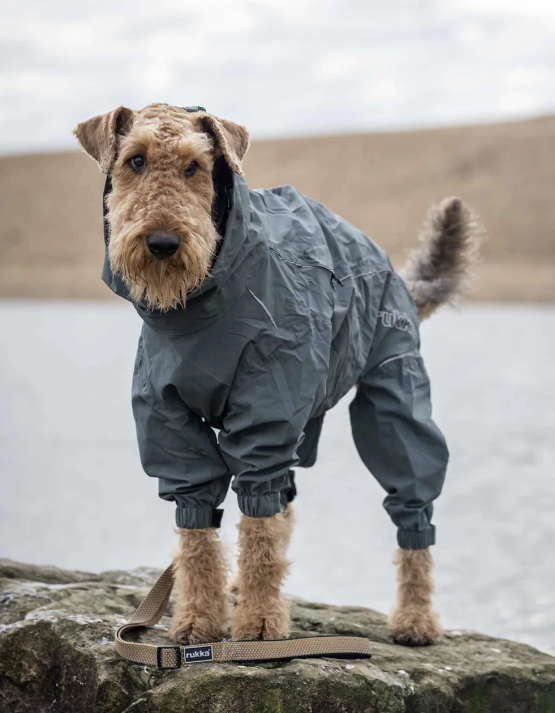 Rukka Protect Overall kombinesoon koertele - Image 4