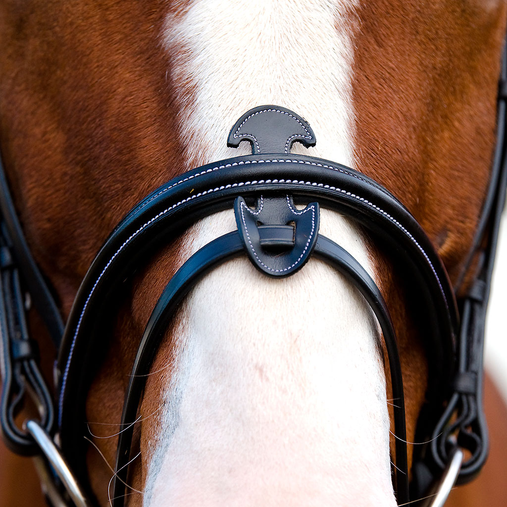 Globus Sport Apollo valjad hobustele - Image 2