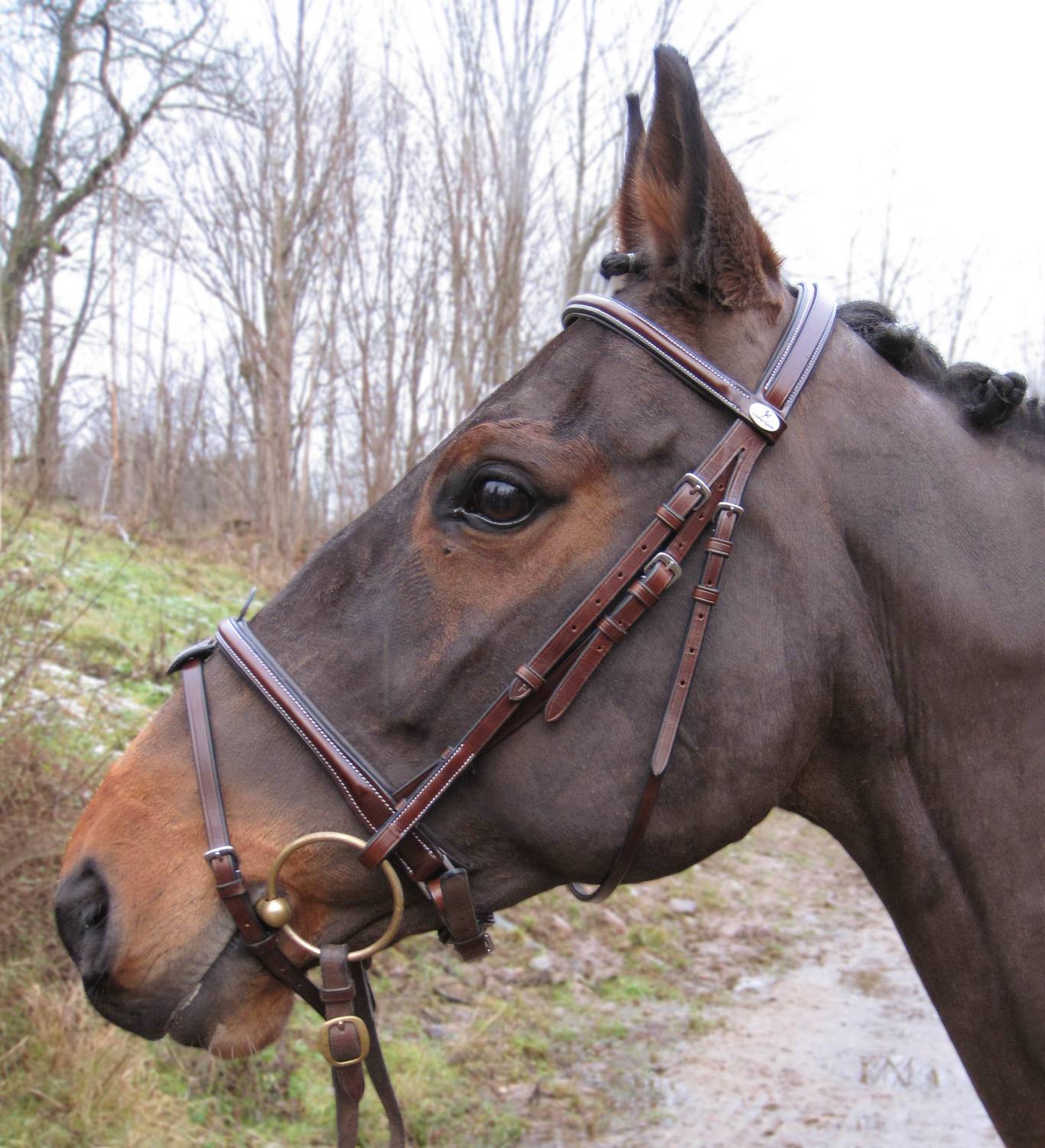 Globus Sport Apollo valjad hobustele - Image 3