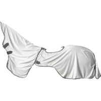 Catago putukatekk ratsutamiseks