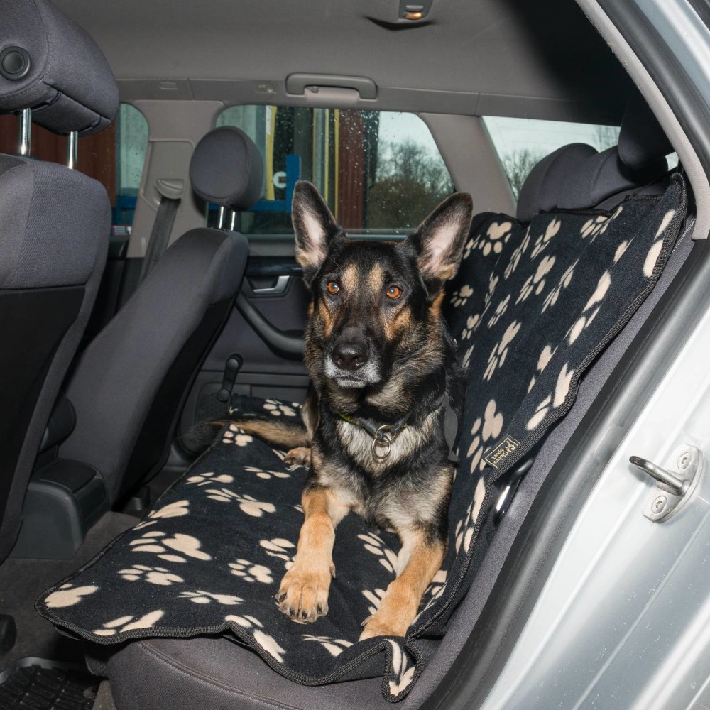 GS istmekate Paw Print