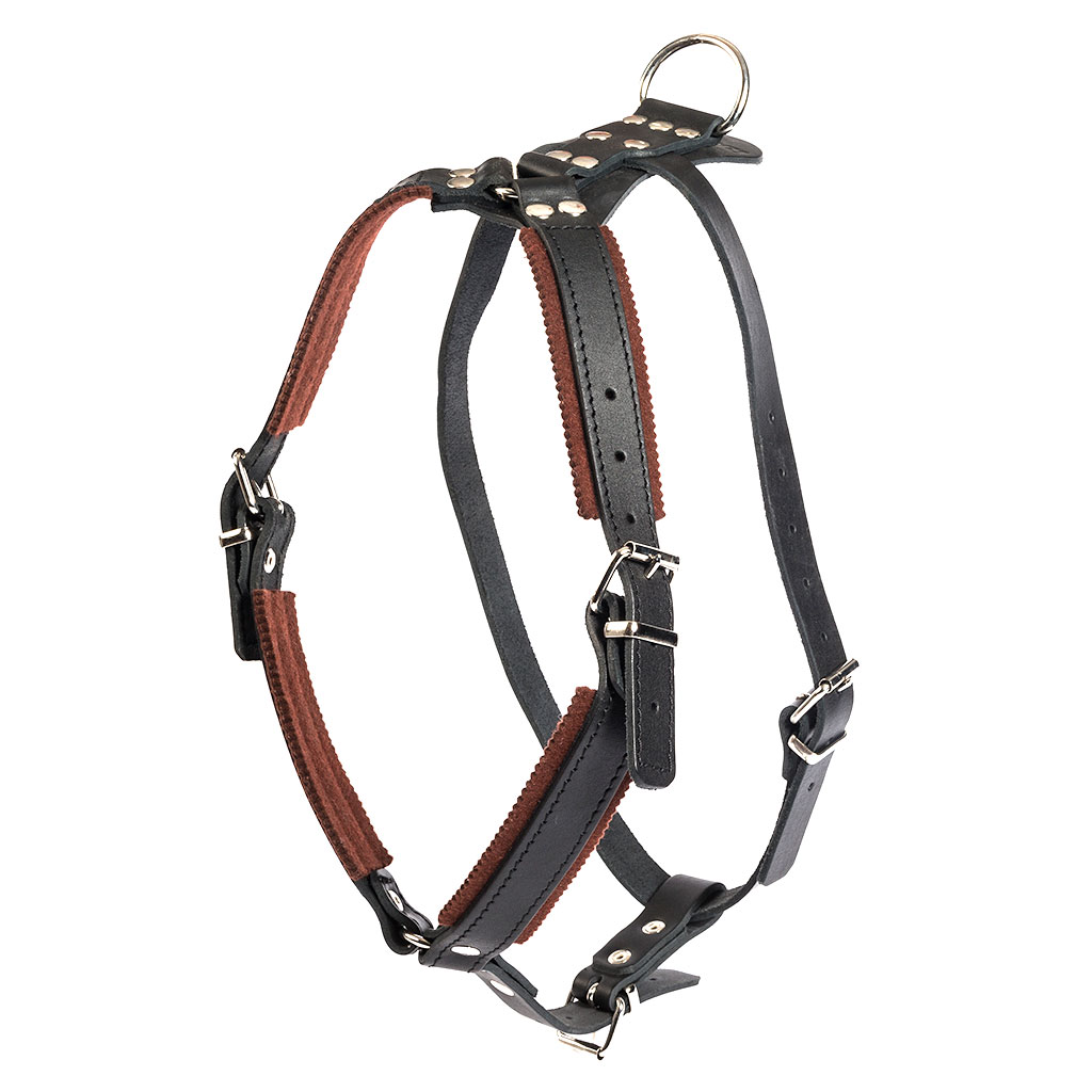 Raddog nahast treeningtraksid koerale