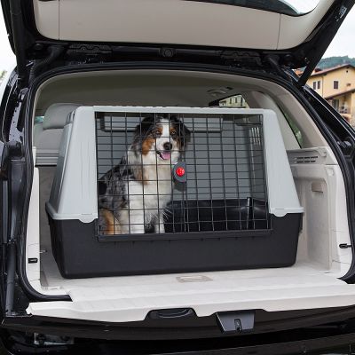 Ferplast Atlas Car 100 transpordipuur autosse