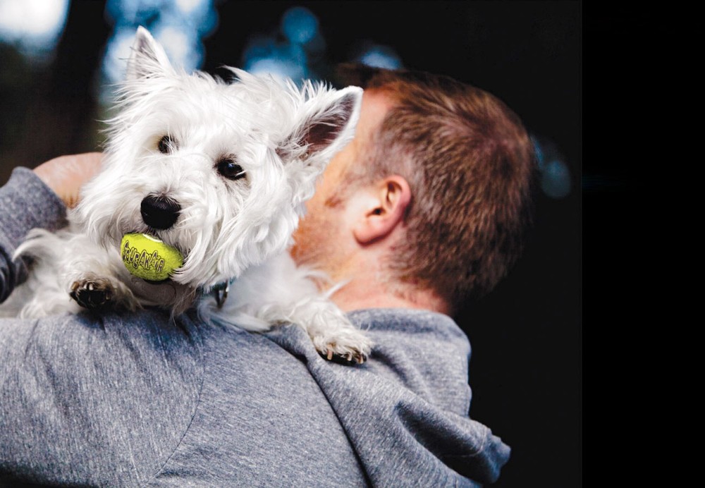 Kong piiksuv tennisepall