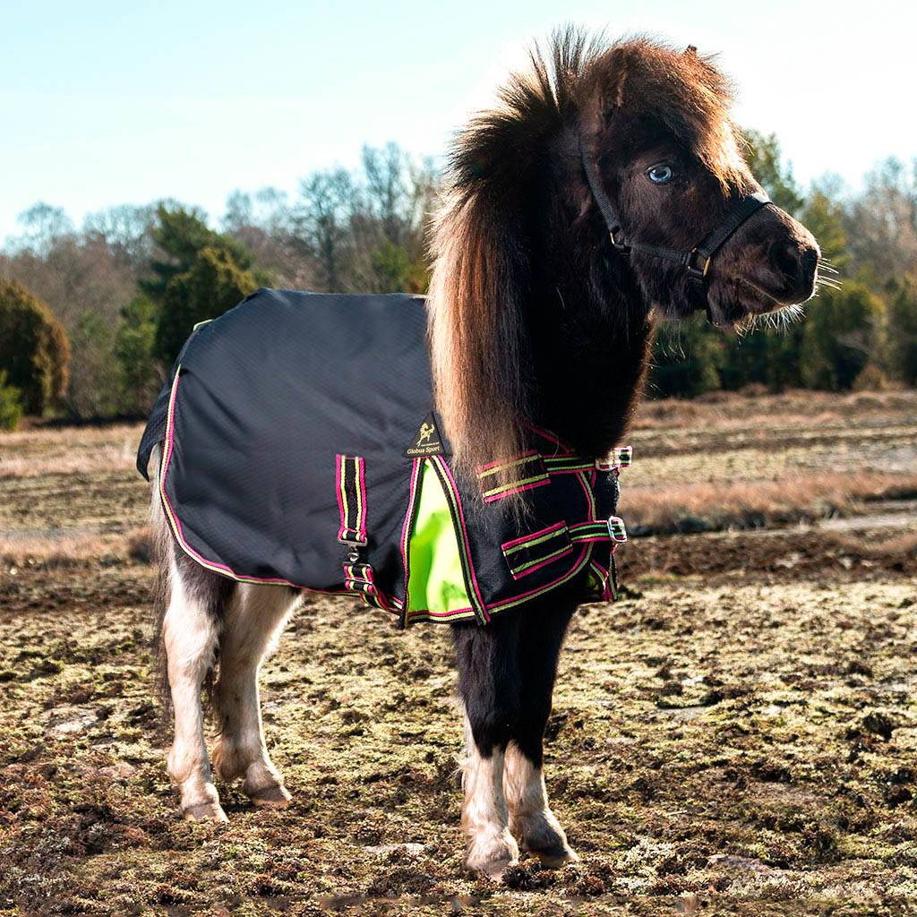 Globus Sport Miniature õuetekk ponidele, 600D -100 g