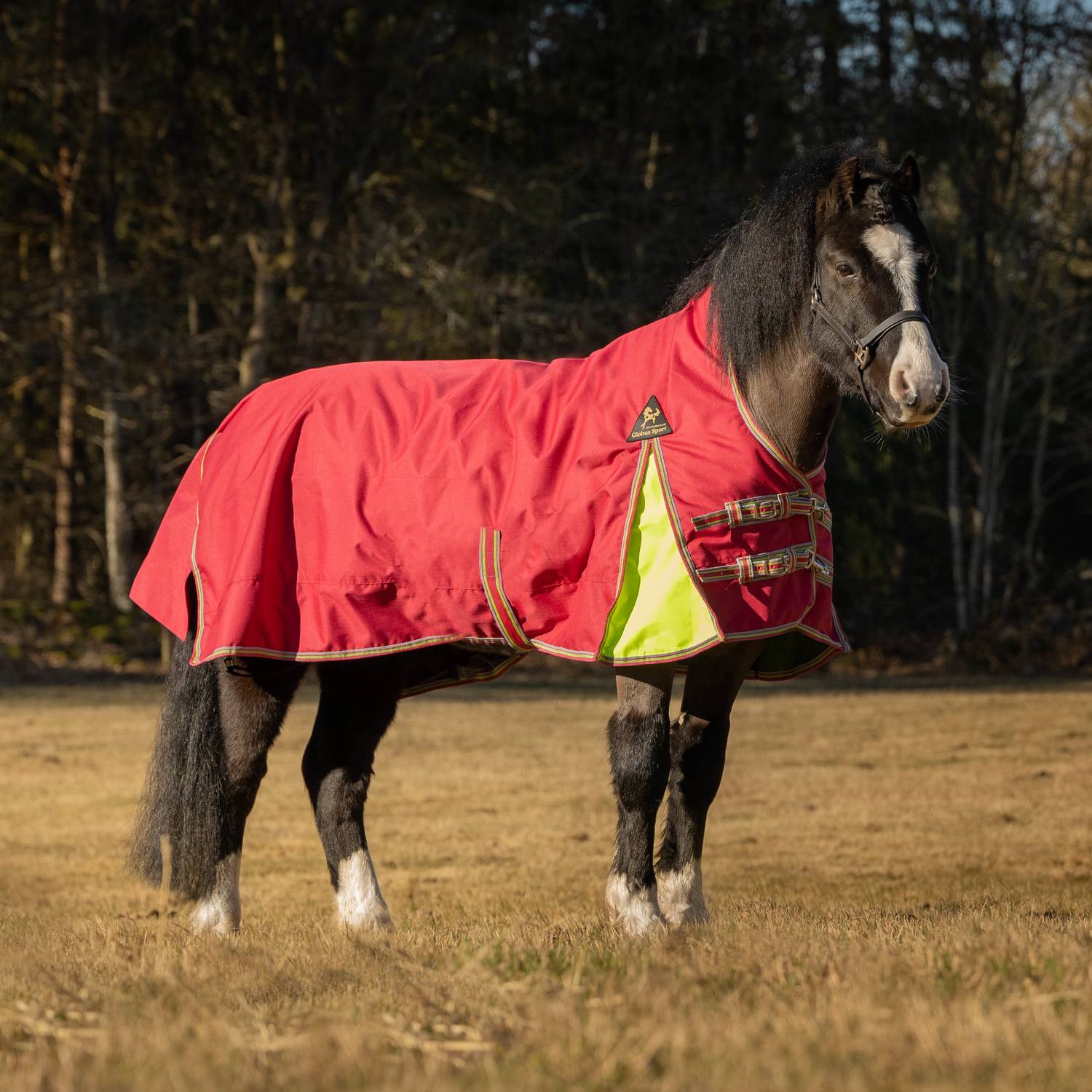 Globus Sport Miniature õuetekk ponidele, 600D -100 g - Image 2