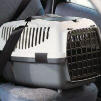 Gulliver plastikpuur 2