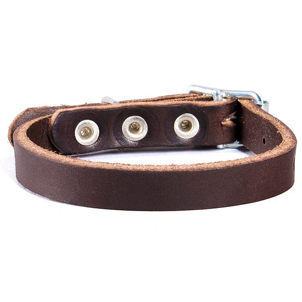 Nahast kaelarihm Classic - Image 3