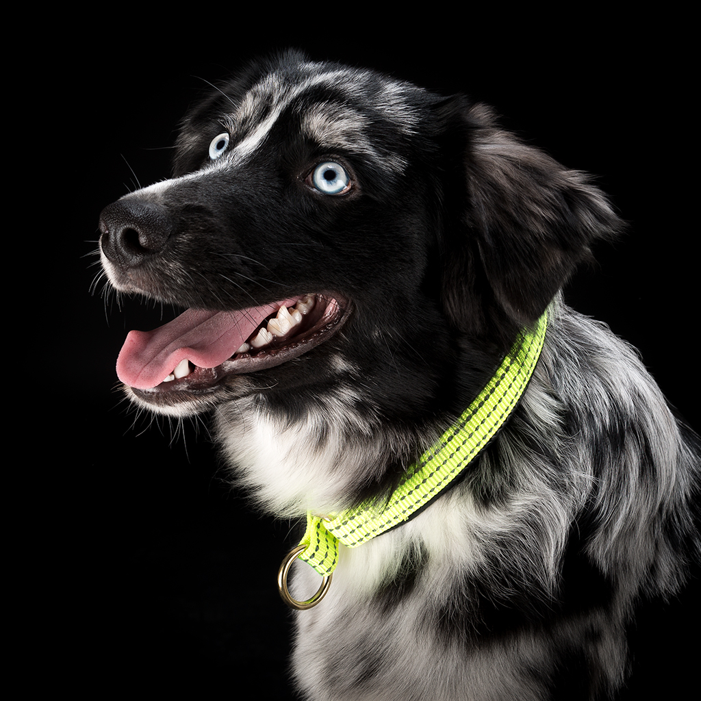 GS helkur poolpoov neopreeniga - Image 3