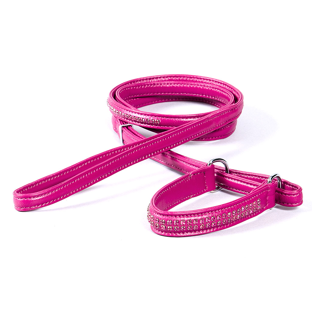 Nahast poolpoov kaelarihm koos rihmaga - Image 3