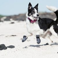 Hurtta Outback saapad