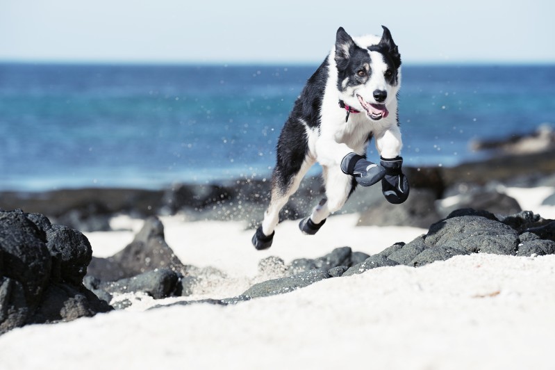 Hurtta Outback saapad