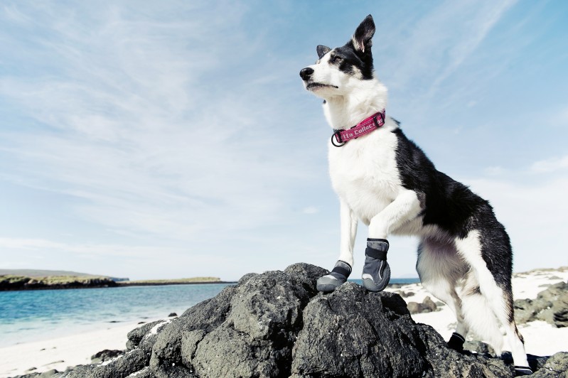 Hurtta Outback saapad