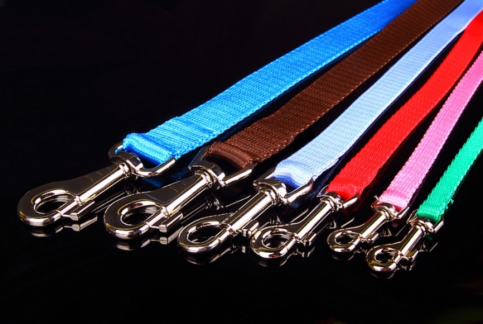 ZL nailonist jalutusrihm (kutsikale)