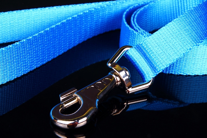 ZL nailonist jalutusrihm (kutsikale)