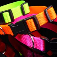 ZL nailonist kaelarihm (kutsikale)