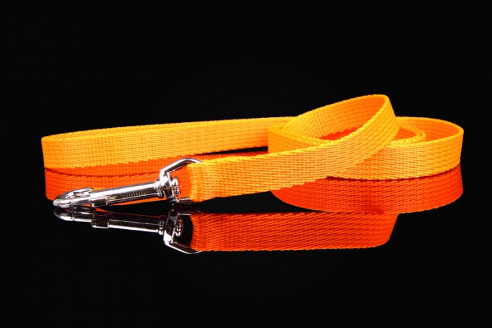 ZL nailonist jalutusrihm (kutsikale)