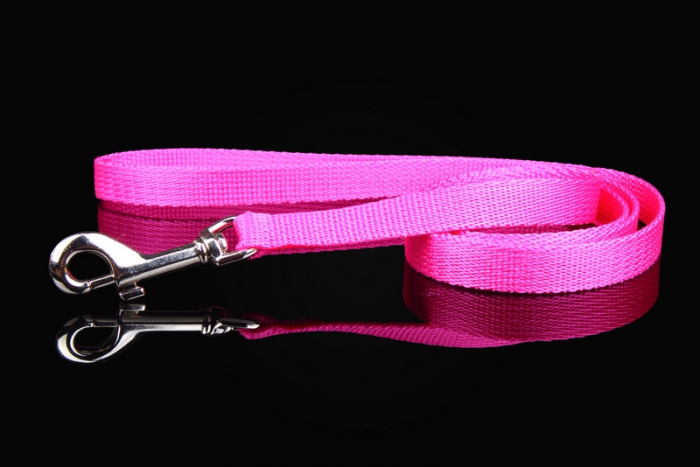 ZL nailonist jalutusrihm (kutsikale)
