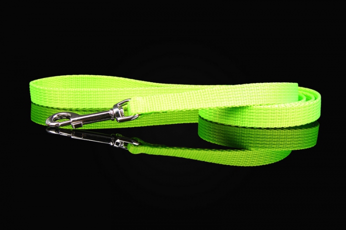 ZL nailonist jalutusrihm (kutsikale)