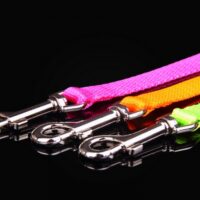 ZL nailonist jalutusrihm (kutsikale)