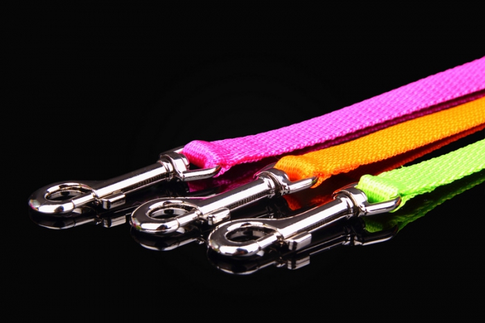 ZL nailonist jalutusrihm (kutsikale)