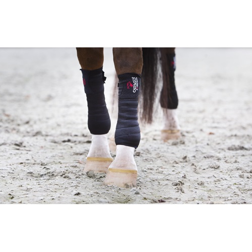 Catago FIR-Tech pinded