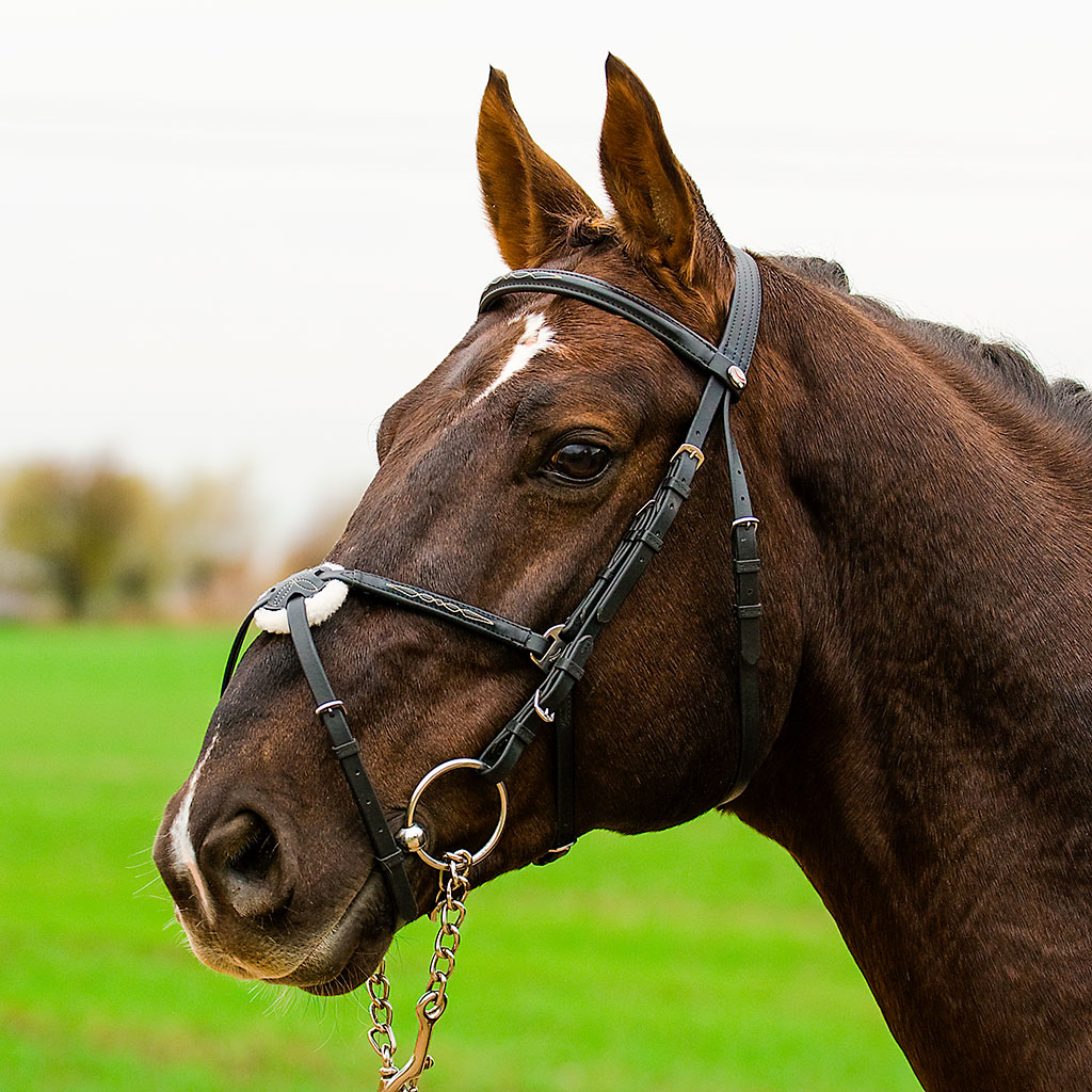 Tekna Quick Clean™ valjad mehhiko kapsliga - Image 2