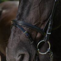 Globus Sport Thea valjad