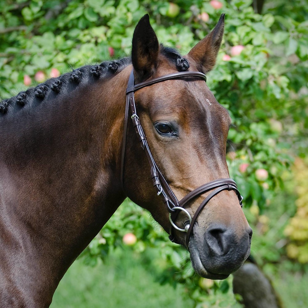 Globus Sport Calinka valjad