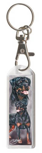 Võtmehoidja, erinevad tõud