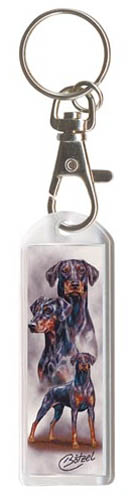 Võtmehoidja, erinevad tõud