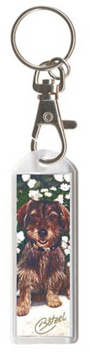 Võtmehoidja, erinevad tõud