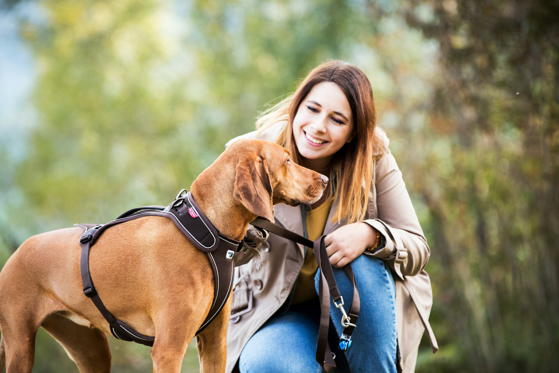 Curli Belka traksid koertele - Image 10