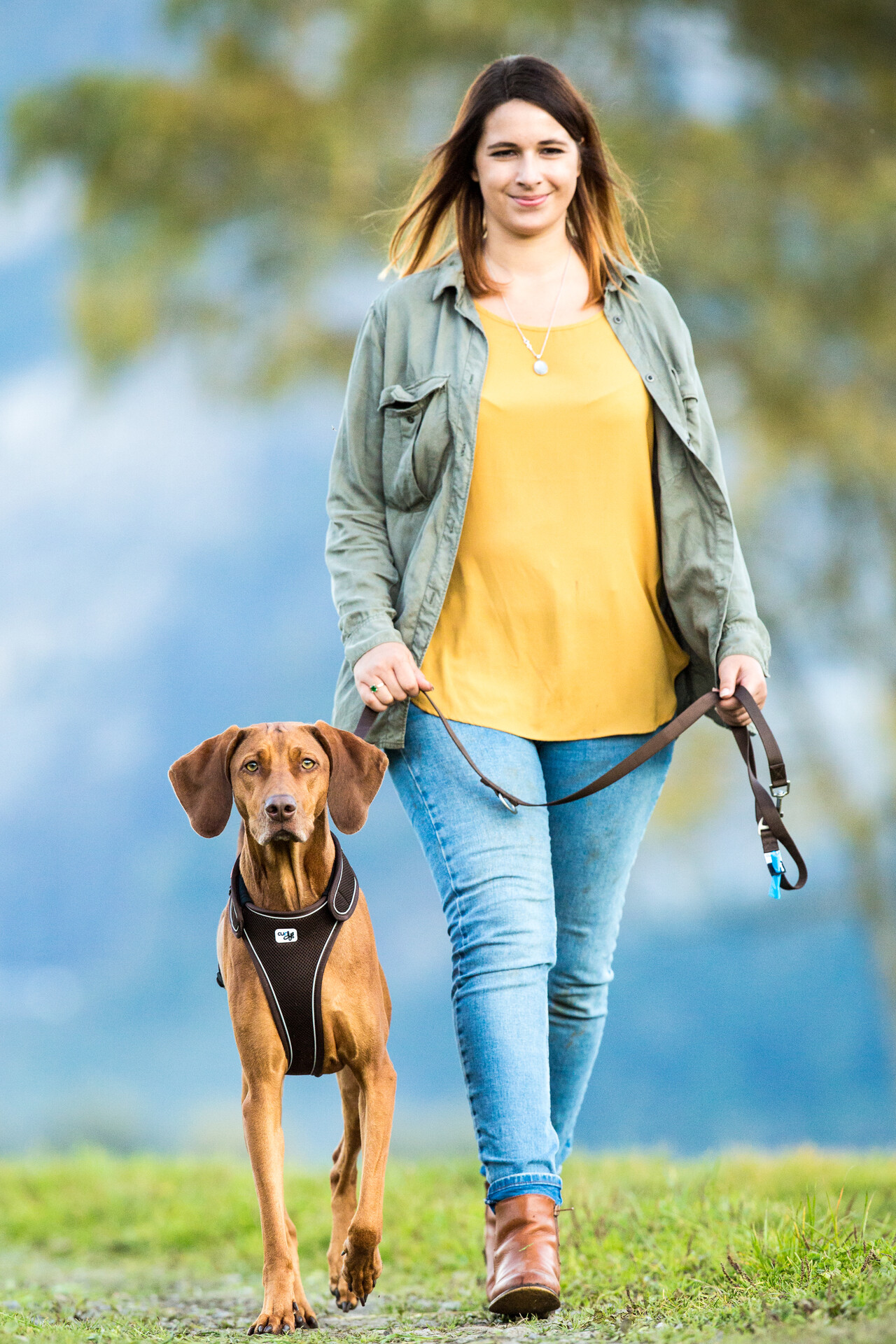 Curli Belka traksid koertele - Image 15