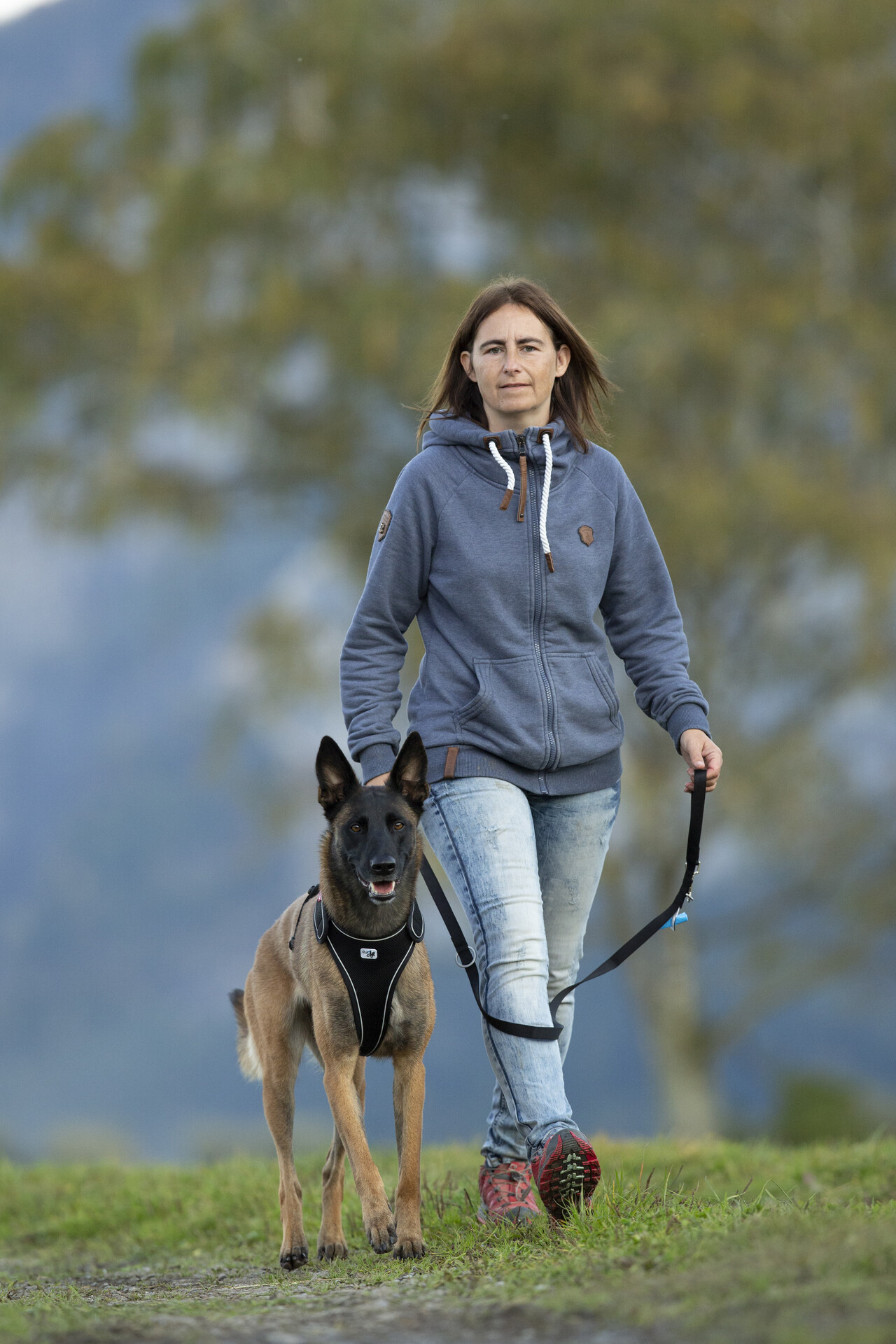 Curli Belka traksid koertele - Image 14