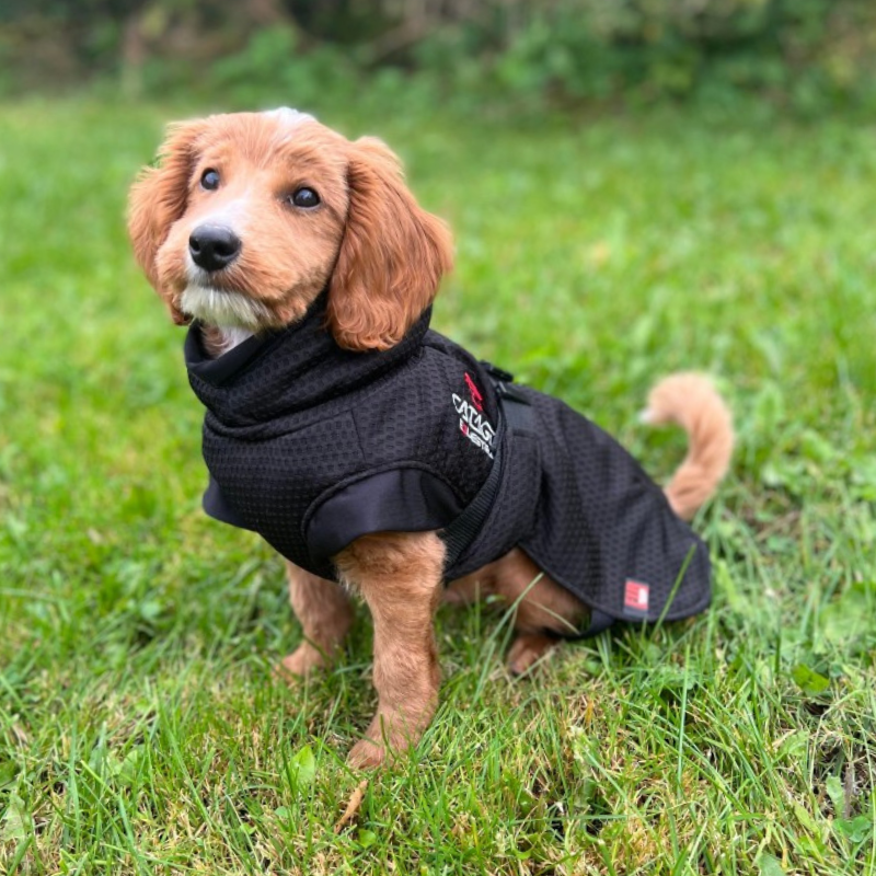 Catago Fir-Tech jope koertele - Image 3