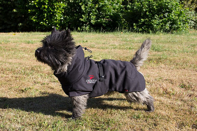 Catago Fir-Tech jope koertele