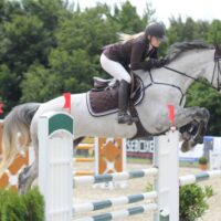 Catago Diamond kärbsemüts äärisega/erinevad värvid